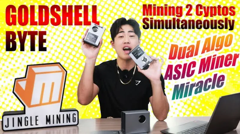 Goldshell BYTE Miner: A Versatile Multi-Algorithm Mining Solution with Hot-Swappable Hash Cards