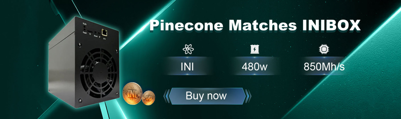 Pinecone Matches INIBOX