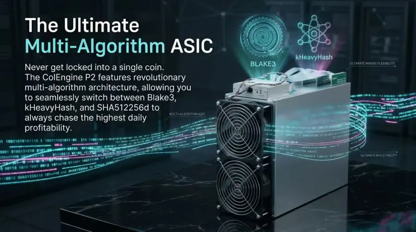 ColEngine P2: Navigating Profitability with 1458W Power Demands