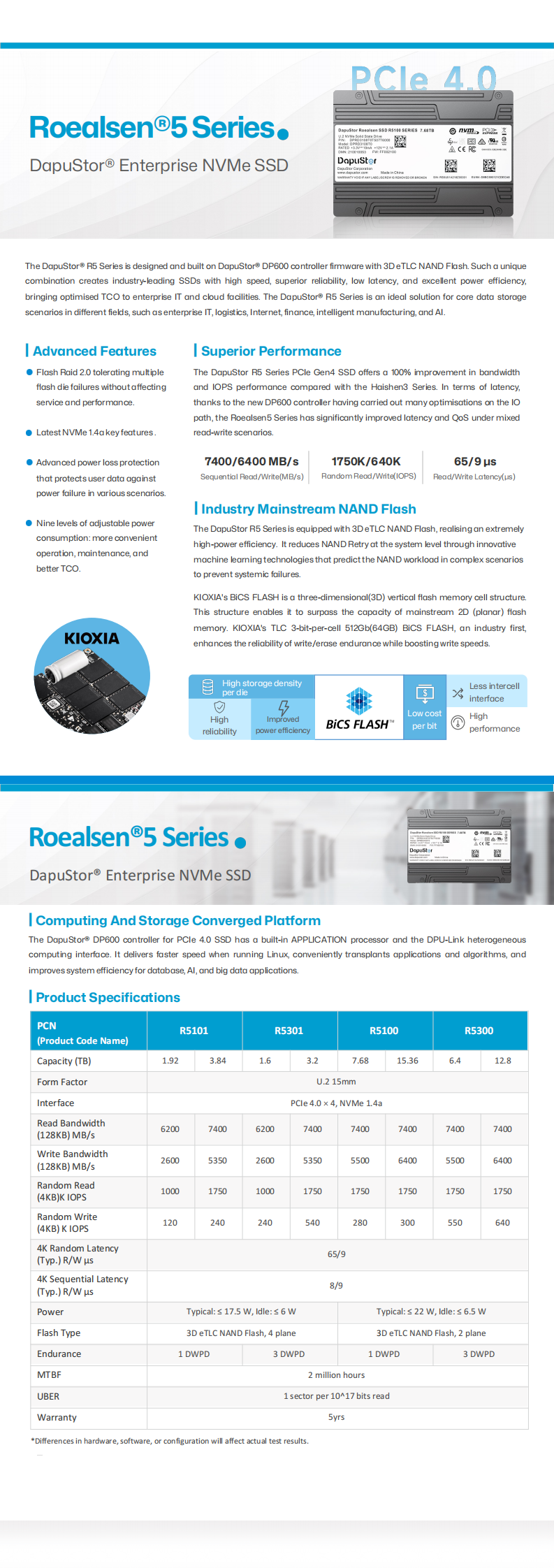 DapuStor - Roealsen5(EN)_v2.18_00.png